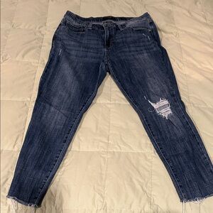 Lucky Brand Dark Blue Skinny Jeans